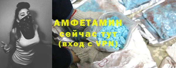 индика Кинешма