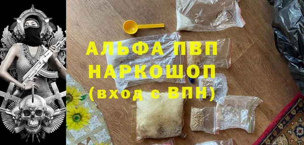 индика Кинешма