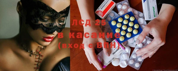 индика Кинешма