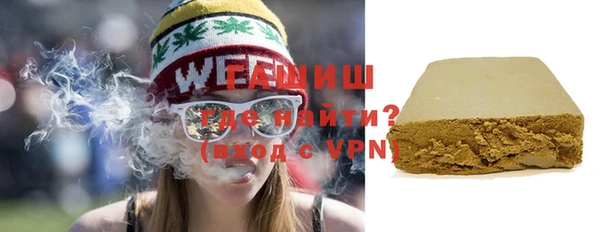 индика Кинешма