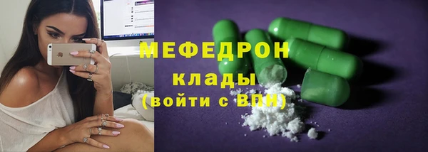 индика Кинешма