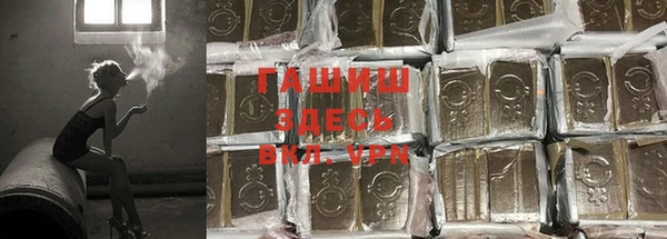 индика Кинешма